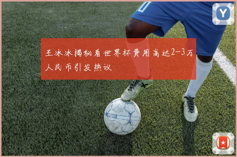 王冰冰揭秘看世界杯费用高达2-3万人民币引发热议
